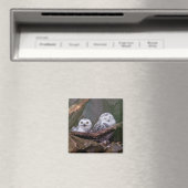 Aimant Chouette Harfang Couple Art Bois Faune (In Situ (Lave-vaisselle))