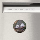 Aimant Chouette Harfang Couple Art Bois Faune (In Situ (Lave-vaisselle))