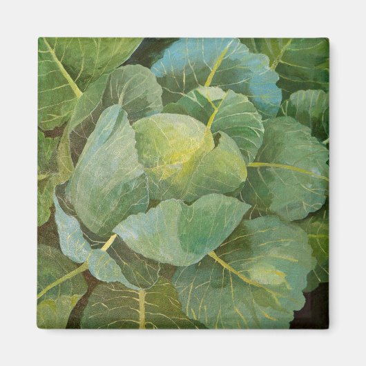 Aimant Choux (Devant)