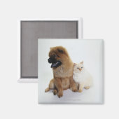 Aimant Chow et chat blanc assis ensemble (Recto/Verso)