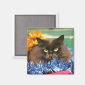 Aimant Christmas Cat (Recto/Verso)