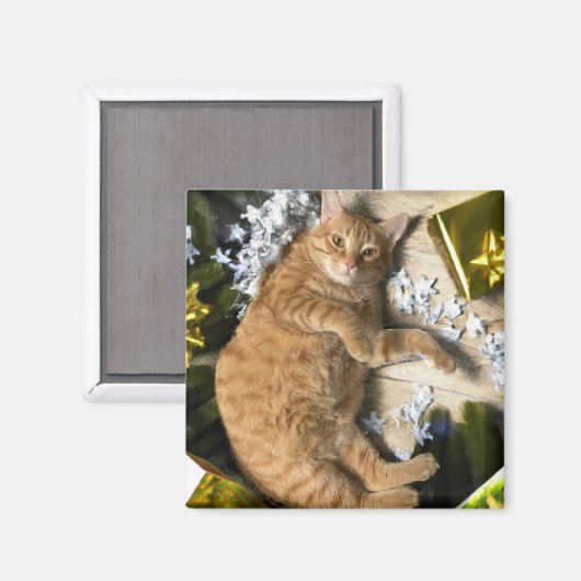 Aimant Christmas Kitty (Recto/Verso)