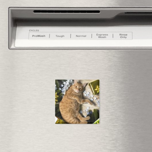 Aimant Christmas Kitty (In Situ (Lave-vaisselle))