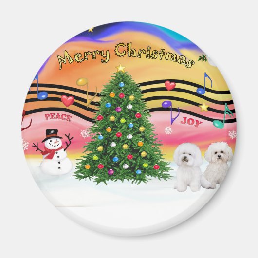 Aimant Christmas Music 2 - Bichon Frise (deux) (Devant)