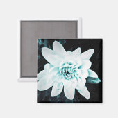 Aimant Chrysanthème (Recto/Verso)