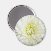 Aimant Chrysanthème blanc (Recto/Verso)