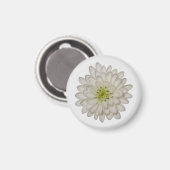 Aimant Chrysanthème Blanc (Recto/Verso)