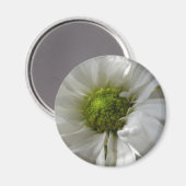 Aimant Chrysanthème blanc (Recto/Verso)
