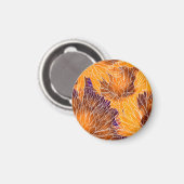 Aimant Chrysanthème japonais : Aquarelle incolore (Recto/Verso)