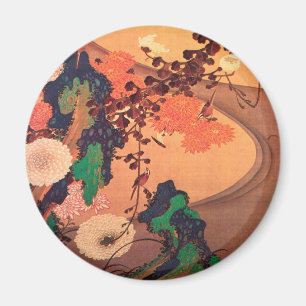 Aimant Chrysanthèmes par un ruisseau avec des rochers (1