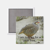 Aimant Chukar Partridge chasse aux oiseaux (Recto/Verso)
