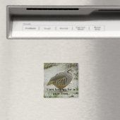 Aimant Chukar Partridge chasse aux oiseaux (In Situ (Lave-vaisselle))