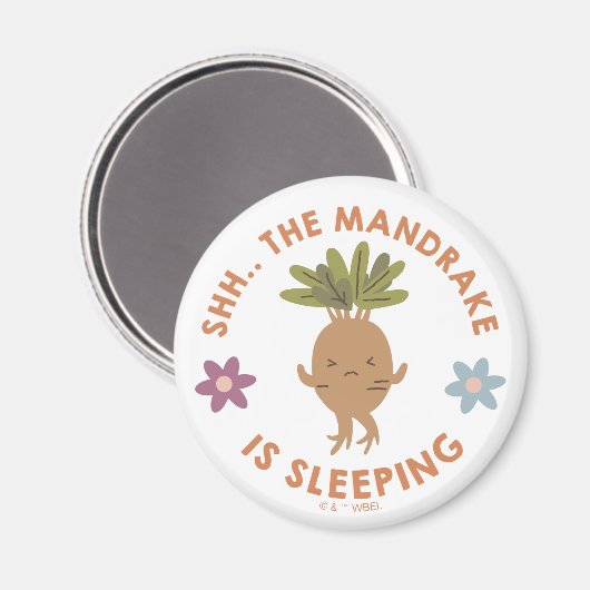 Aimant Chut... Le Mandrake Dort (Recto/Verso)