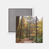 Aimant Chute Sunlit dans le parc national de Laurel Hill (Recto/Verso)