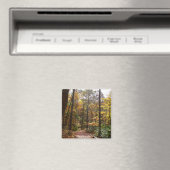 Aimant Chute Sunlit dans le parc national de Laurel Hill (In Situ (Lave-vaisselle))