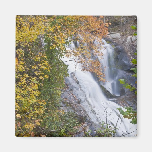 Aimant Chutes de la rivière Bald (Devant)