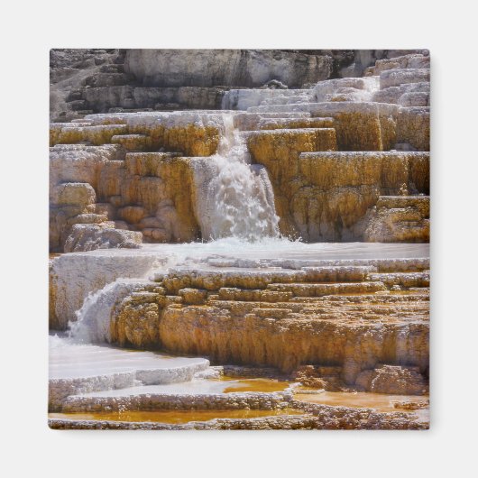 Aimant Chutes de Mammoth Springs (Devant)