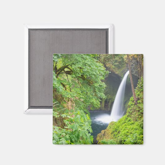 Aimant Chutes Metlako (Recto/Verso)