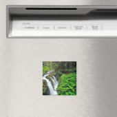 Aimant Chutes Sol Duc dans le parc national olympique à (In Situ (Lave-vaisselle))