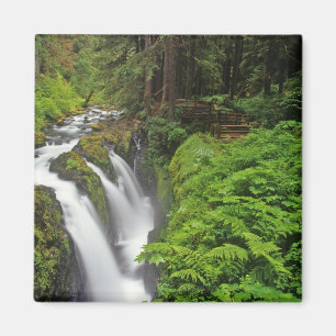 Aimant Chutes Sol Duc dans le parc national Olympique en