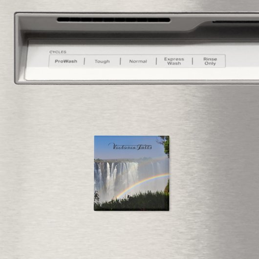 Aimant Chutes victoriennes (In Situ (Lave-vaisselle))