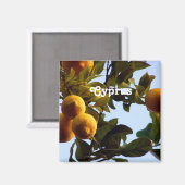Aimant Chypre Lemon Grove (Recto/Verso)