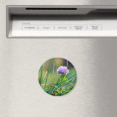 Aimant Ciboulette Bleue Sur L'Herbe (In Situ (Lave-vaisselle))