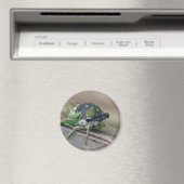 Aimant Cicada (In Situ (Lave-vaisselle))