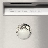 Aimant Ciel Blanc Et Soleil Dramatiquement Encadrés D'Arb (In Situ (Lave-vaisselle))