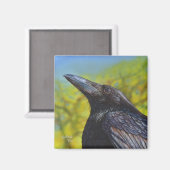 Aimant Ciel de printemps du Corbeau (Recto/Verso)