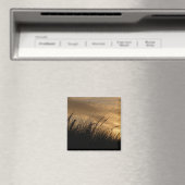 Aimant ciel d'or (In Situ (Lave-vaisselle))