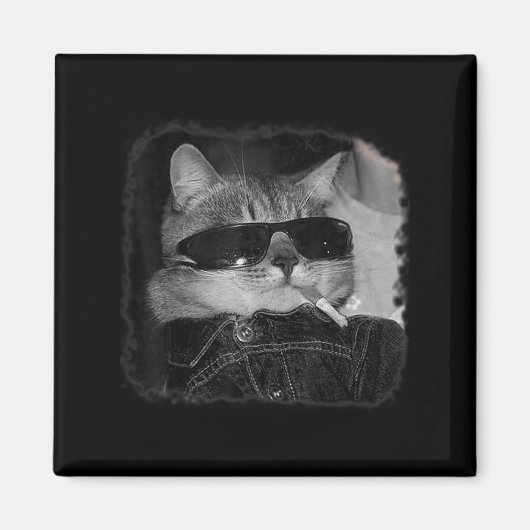 Aimant Cigarette Kitten Gang Chat Fumer Cigarette Drôle (Devant)