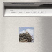 Aimant cigogne blanche dans le nid (In Situ (Lave-vaisselle))