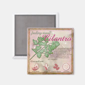 Aimant Cilantro (Recto/Verso)