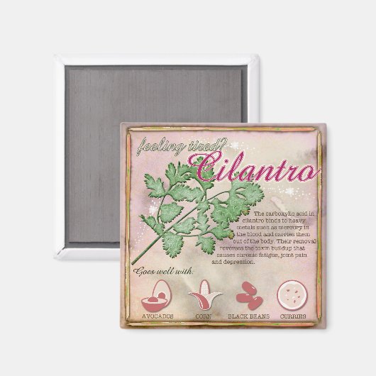 Aimant Cilantro (Recto/Verso)