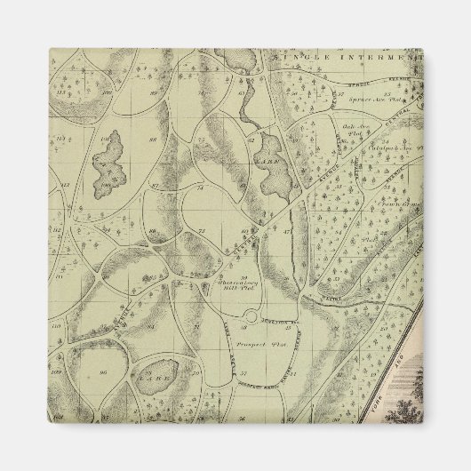 Aimant Cimetière de Woodlawn (Devant)