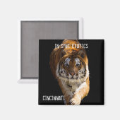 Aimant Cincinnati Tiger - (Recto/Verso)