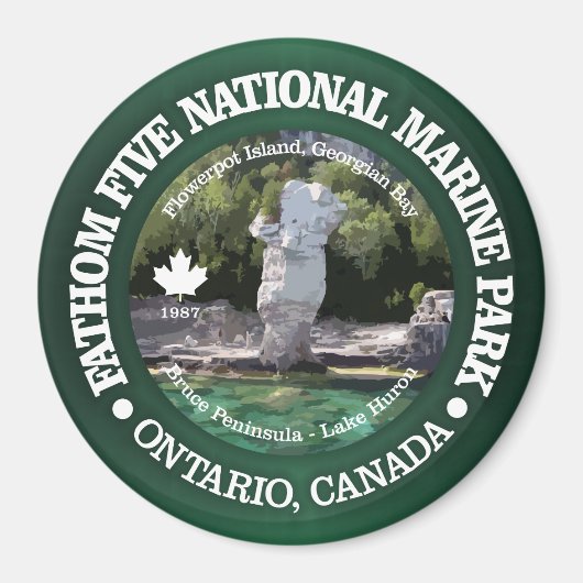 Aimant Cinq NMP (Devant)