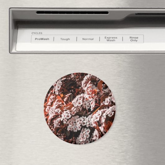 Aimant circulaire (In Situ (Lave-vaisselle))