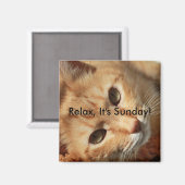 Aimant Citation de chat (Recto/Verso)