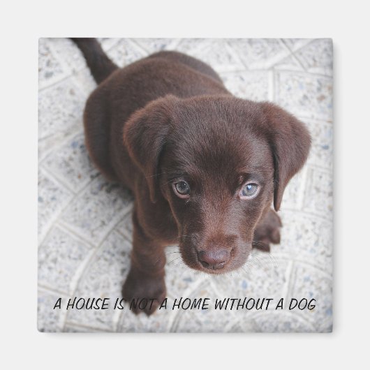 Aimant Citation de chiot (Devant)