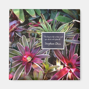 Aimant Citation de Stephen Dias de jardin botanique de