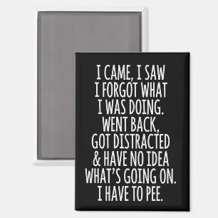 Aimant Citoyen âgé Je suis venu J'ai vu J'ai oublié ce qu