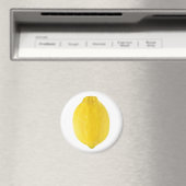 Aimant Citron (In Situ (Lave-vaisselle))