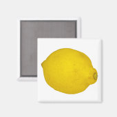 Aimant Citron (Recto/Verso)