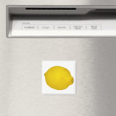 Aimant Citron (In Situ (Lave-vaisselle))