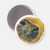 Aimant Citron vert (Recto/Verso)