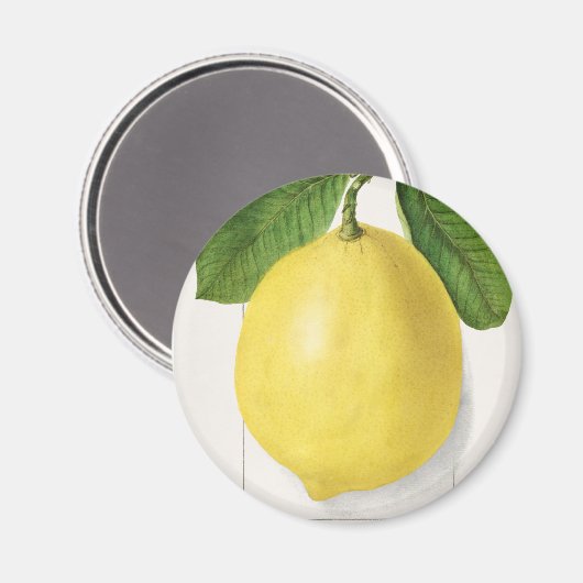 Aimant citron vintage (Recto/Verso)