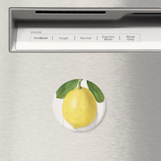 Aimant citron vintage (In Situ (Lave-vaisselle))