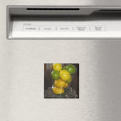 Aimant Citrons et limes (In Situ (Lave-vaisselle))